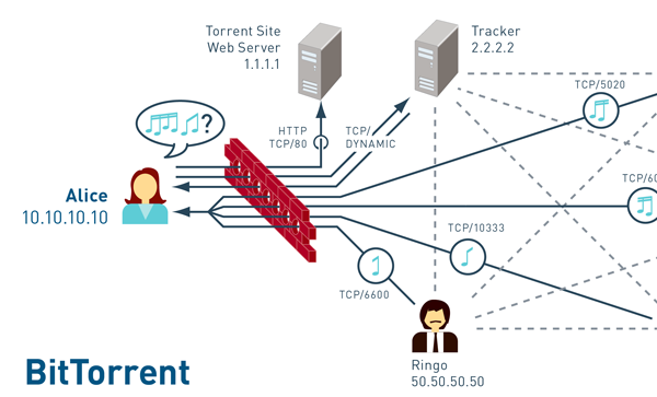 How Things (Net)work